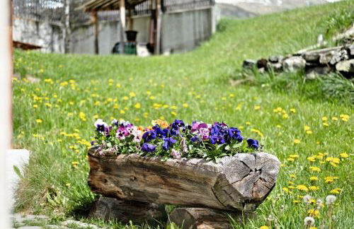 New Teindlhof - Foto 7