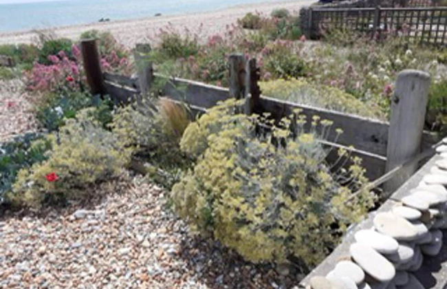 Ocean Front Beach House With Direct Beach Access - Foto 6