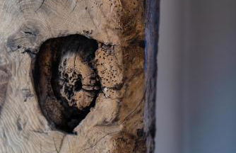 Crabtree Farm - South Stable - Foto 19