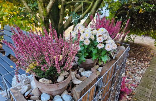 fewo-aller-auszeit - Foto 40