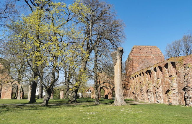 Huebsche Ferienwohnung in Lubmin mit Blick auf Ruegen - Foto 38