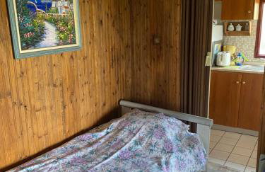 Real Holidays Antoniadou - Rustic House - Foto 34