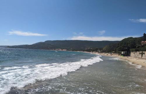 Les Iles d' Or Appartement - Foto 50