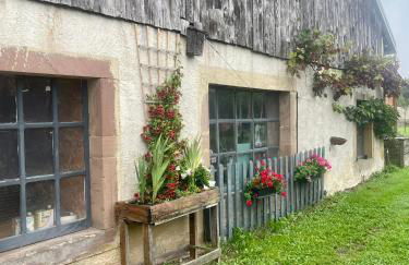 La Ferme des 1000 étangs - Foto 4