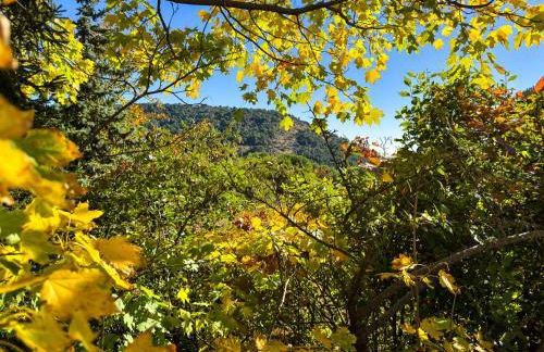 Casa Abetos - Photo 2