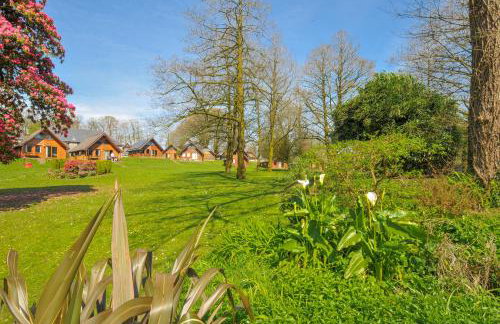 Cornish Woodland Retreat - Photo 8