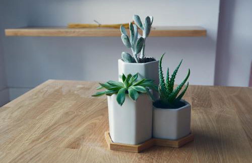 HAVANAAPARTAMENTOS - Foto 45