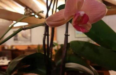 Anna's Apartment - Foto 15