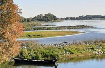 Gnaden- und Ferienhof Saale Wittgenstein in the middle of gar nix - Foto 62