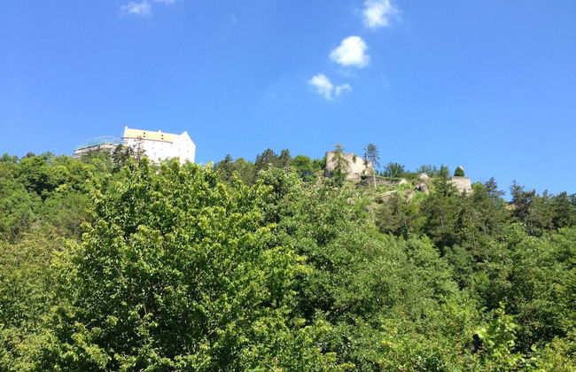 Homely Apartment in Riedenburg Prunn Near Forest With BBQ - Foto 44