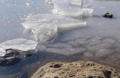 La terrasse des volcans - Foto 44