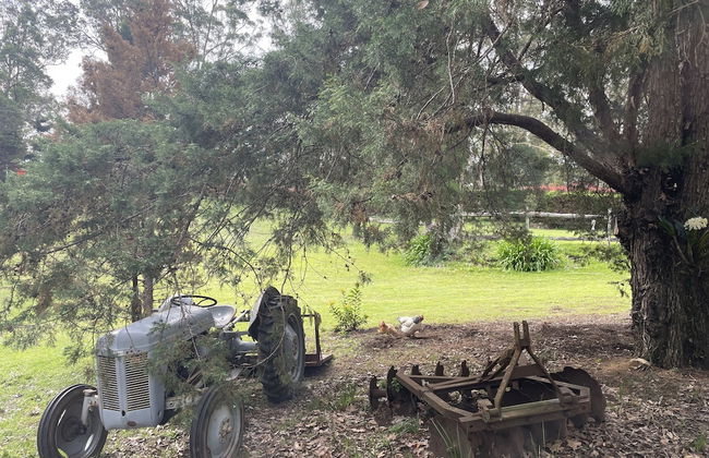 Mt Nebo Railway Carriage and Chalet - Foto 11