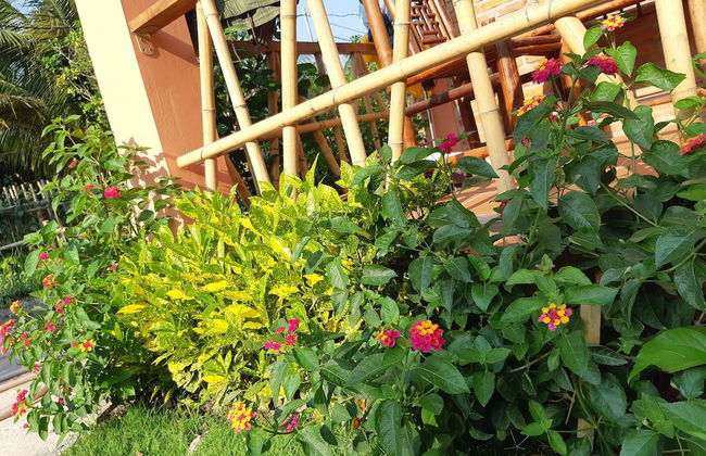 An An Boutique Homestay - Foto 44