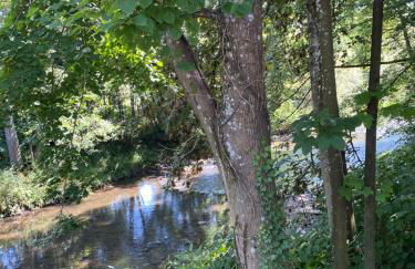 Les pieds dans l eau - Foto 17