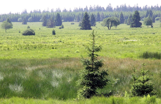 Beautiful Chalet Near the Forest in Malmedy - Foto 38