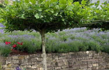 Ferienwohnung "Auszeit Im alten Weinberg" - Foto 7