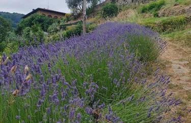 Il Casalino - Nido nel Chianti - Foto 42