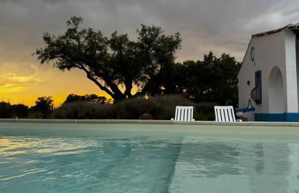 Monte do Sobreiro - Foto 31