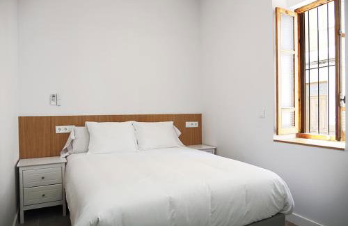 Apartamentos SAN JOSÉ - Foto 36