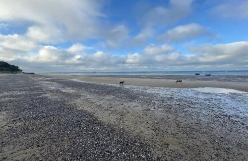 Suzetta Cottage - Photo 57