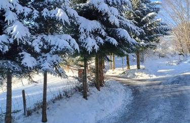 Domki nad potokiem - Foto 23