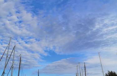 Ferienhaus am Saaler Bodden - Foto 12