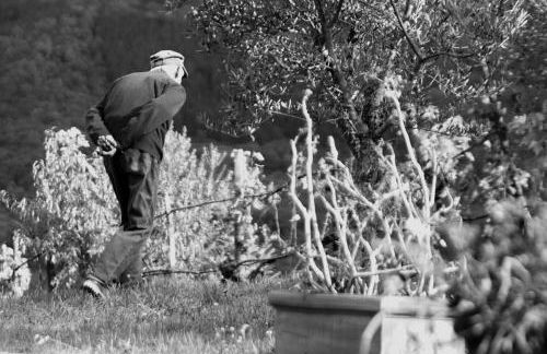 Villa San Regolino whit private pool - Foto 44