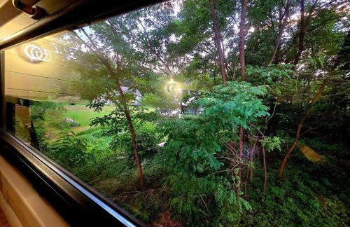 Jurajska Sielanka - domek nad rzeczką - Foto 78