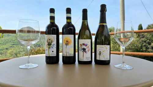 Cà VENDALIS Agriturismo & Cantina - Foto 5