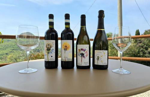 Cà VENDALIS Agriturismo & Cantina - Foto 5