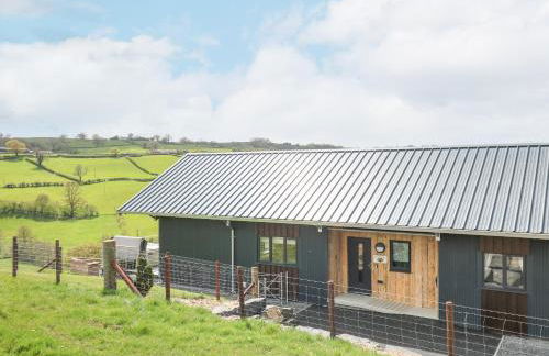 Barcud Coch - Red Kite - Photo 39