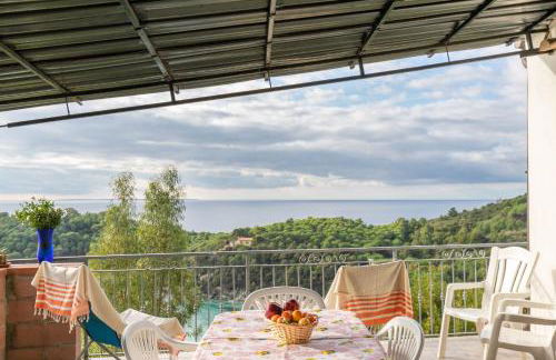 Simona Panorama - Foto 5