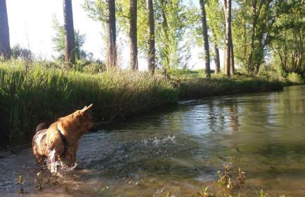 Rural Arco Iris - Foto 57