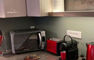 La maison Virginie 1 à 2 pers charmant central-parking gratuit- linge- fibre- proximité port lac canal piscine - Photo 12