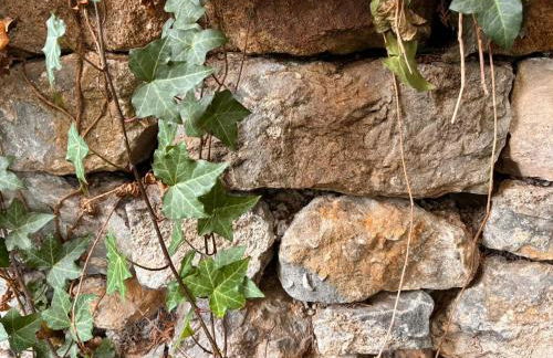 Le Clair-Obscur - Photo 9