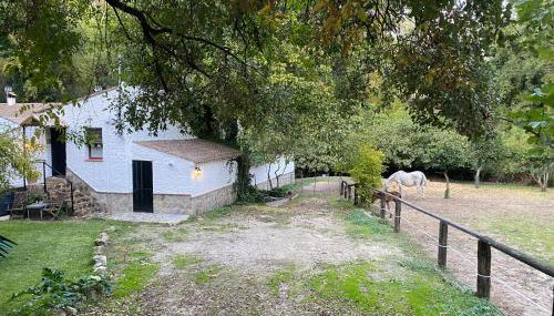 Loft Rural El Pajar del Molino - Foto 2