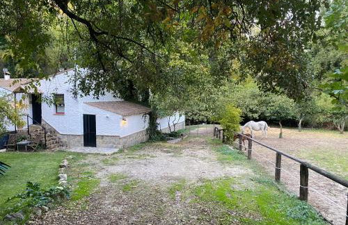 Loft Rural El Pajar del Molino - Foto 2