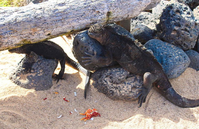 Santa Cruz Island Boat Tour - Photo 1