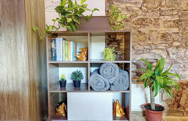 Mola Studio By Paradox - Photo 11