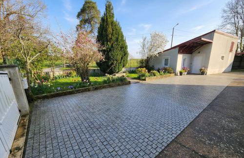 La maison bleue - Foto 20