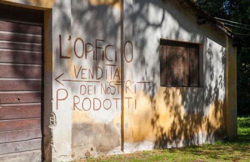 Tenuta di Paganico - I Roggeti - Foto 6