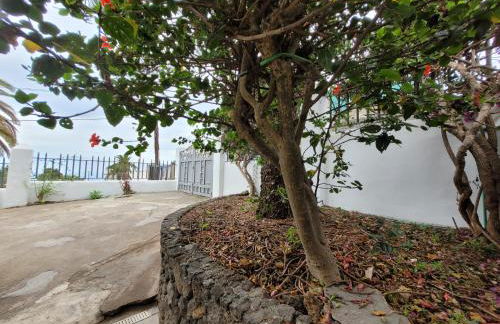 Casa Mariposa Monarca 2 - Foto 39