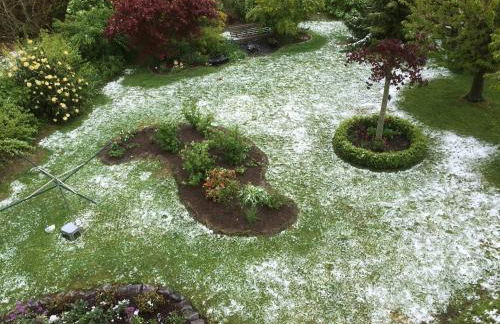 Landhaus Kühn - Foto 16