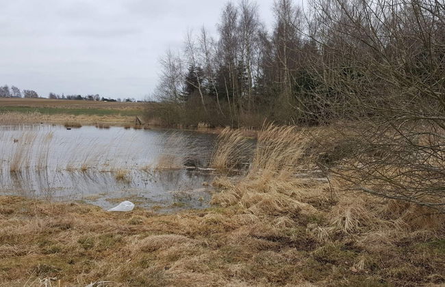 6 Person Holiday Home in Slagelse-by Traum - Foto 7