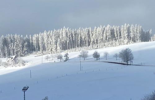 Im Salzgässle - Foto 21