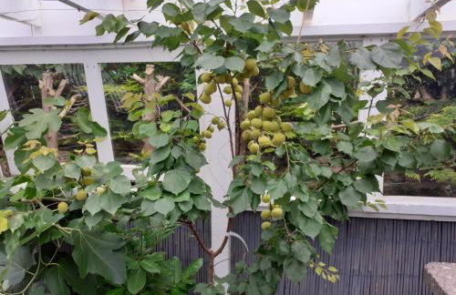 The Treehouse by Airlie - Foto 33