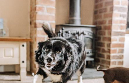 NEW Thirsk Stays - Herriot's Hideaway - Photo 2