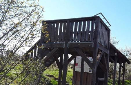 Ferienwohnung - Zimmervermietung Ringelmann - Foto 9