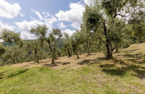 Villa Bianca - Foto 16