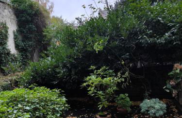 Down-Town-Oasis - Foto 36